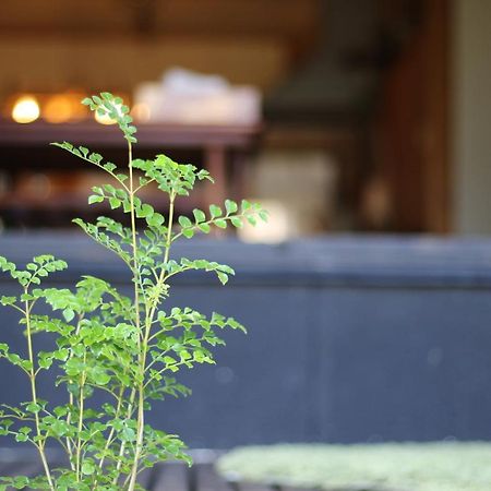晴家 Guest House Fujikawaguchiko Exterior photo
