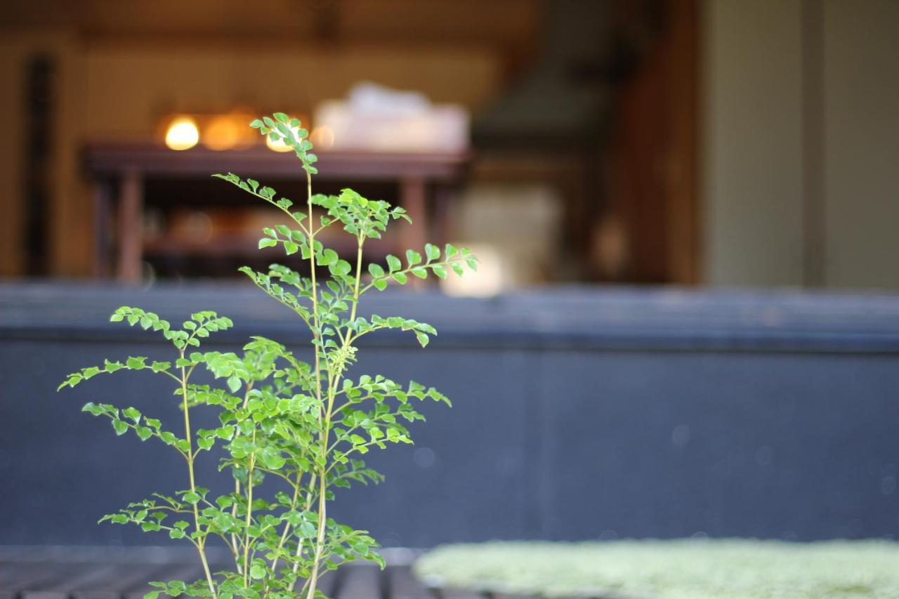 晴家 Guest House Fujikawaguchiko Exterior photo