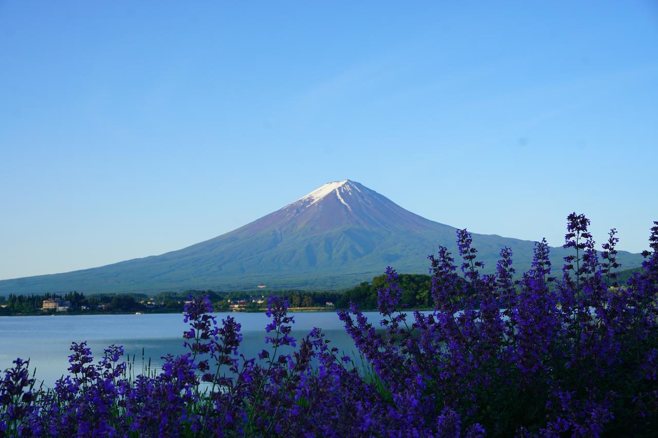 晴家 Guest House Fujikawaguchiko Exterior photo
